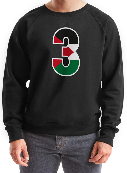 Classic Raglan Crew Neck Black  S-4XL Code: CRCB-280