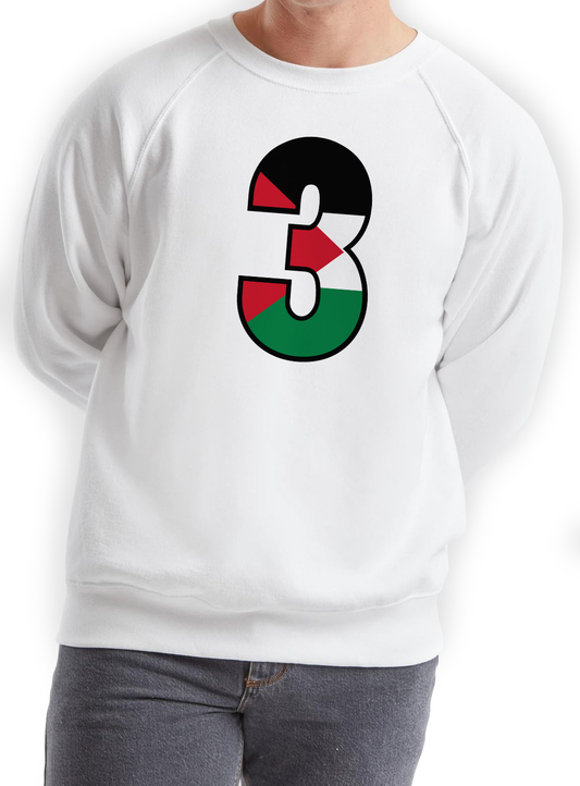 Classic Raglan Crew neck White S-3XL Code: CRCW-280