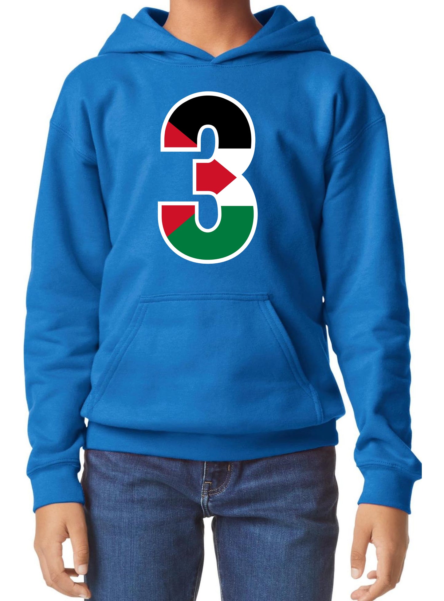 Kids Midweight Softstyle Hoodie Royal YXS to YXL  (4yrs to 14yrs) Code: KMSHR-285